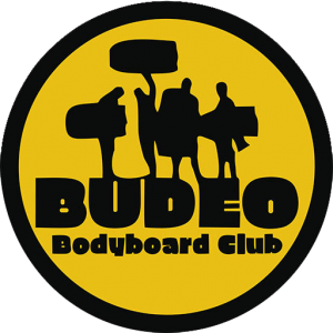 cropped-iconoweb-budeo.png